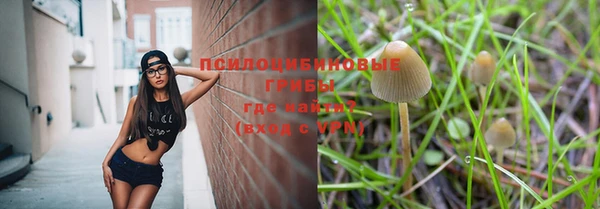экстази Гусь-Хрустальный