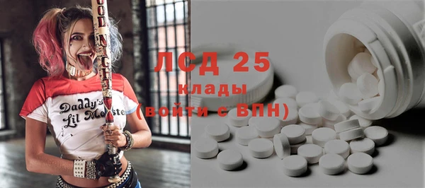 шишки Гусев