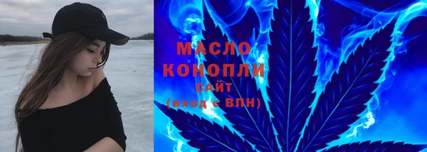 шишки Гусев