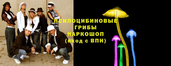 бошки Дмитриев