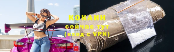 бошки Дмитриев