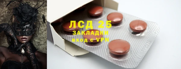 шишки Гусев
