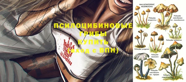 шишки Гусев