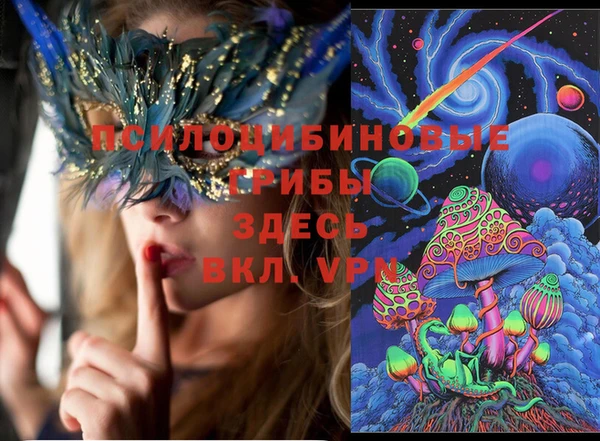 мяу мяу мука Дмитровск