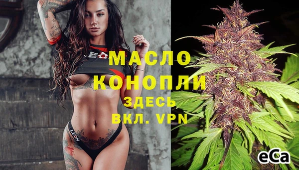 шишки Гусев