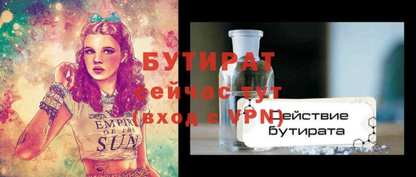 шишки Гусев