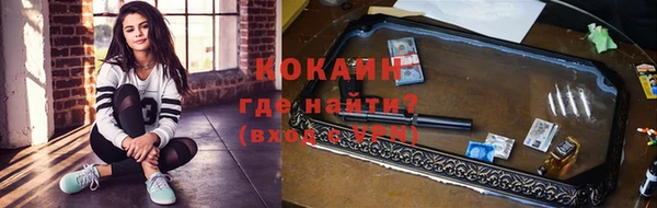 шишки Гусев