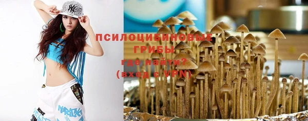 шишки Гусев