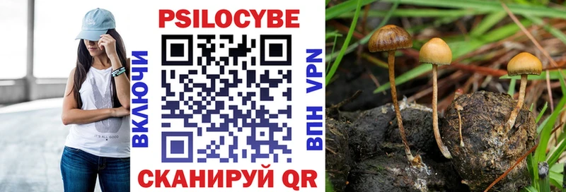 цена наркотик  Новоаннинский  Псилоцибиновые грибы прущие грибы 